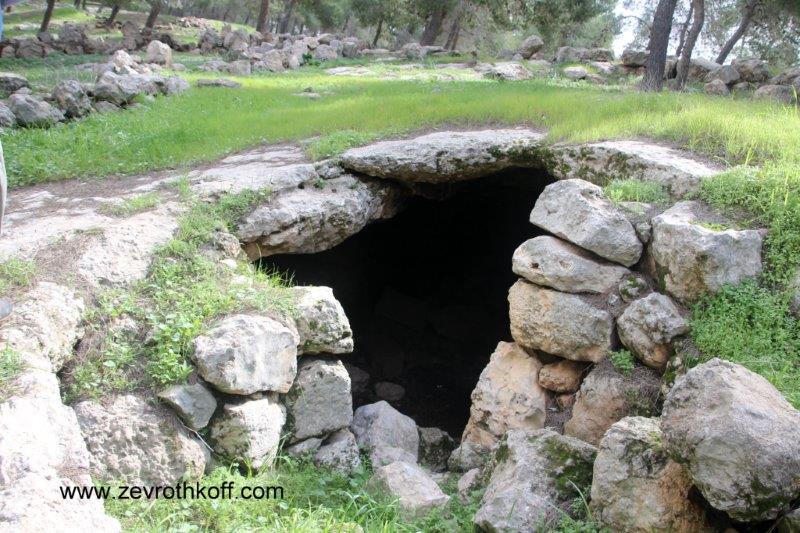 קובץ:178.jpg