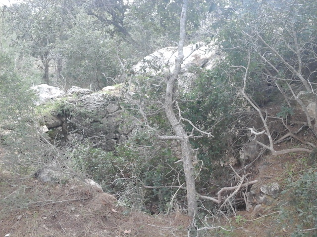 קובץ:2018.02.06-114035.543.android.jpg