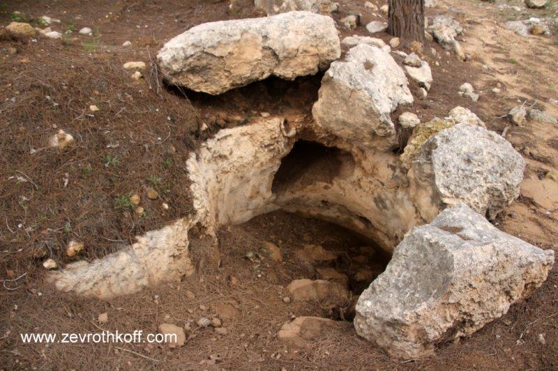 קובץ:220.jpg