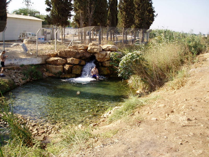 קובץ:589594.jpg