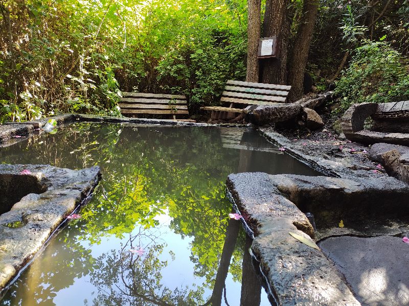 קובץ:755cb8823762a45d0a89b42ad2f9611f.jpg