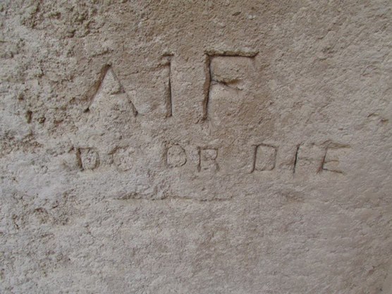 קובץ:Aif.jpg