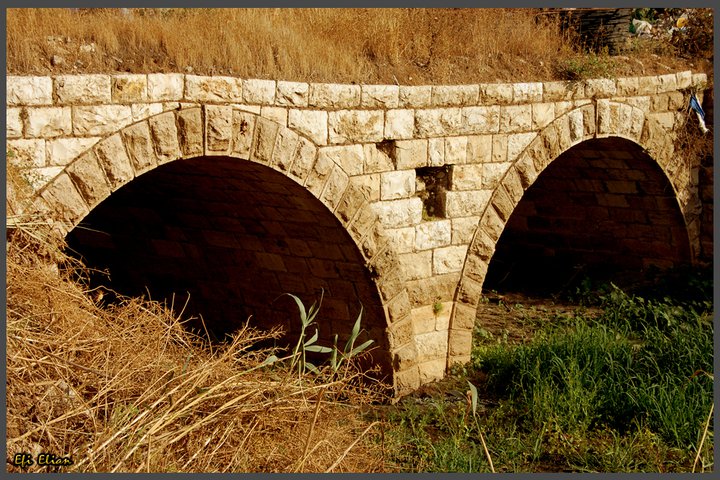 קובץ:Btrid3.jpg