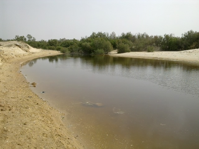 קובץ:Dsc nokia e72 image 055.jpg