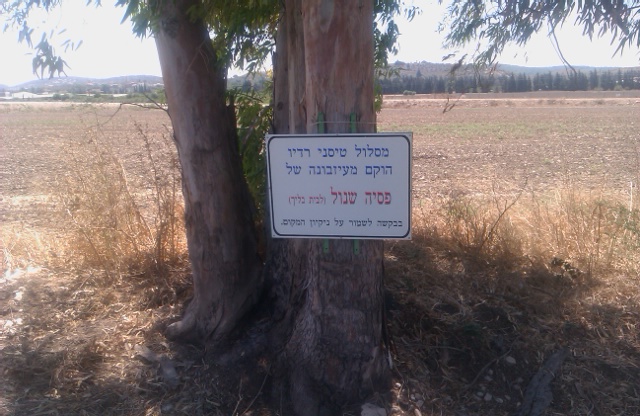 קובץ:IMAG0145.jpg