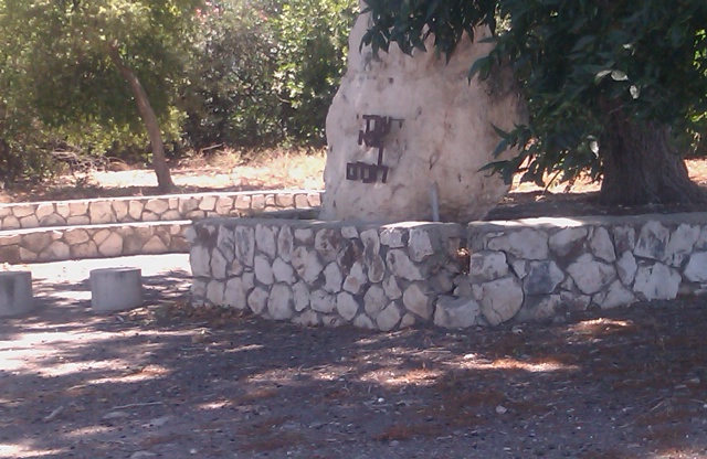 קובץ:IMAG0150.jpg