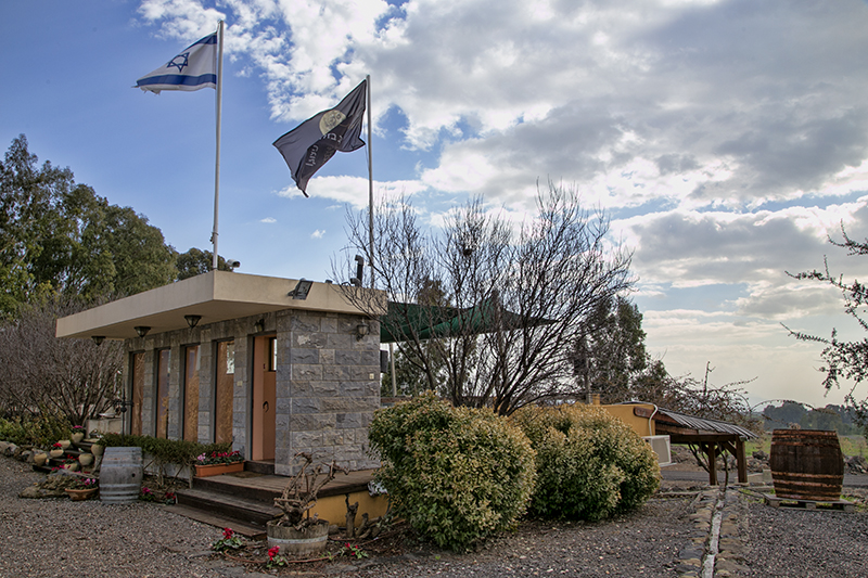 קובץ:IMG 8375 copy.jpg