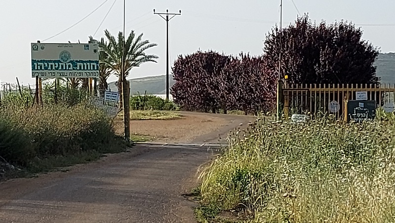 קובץ:Matitiaou.jpg