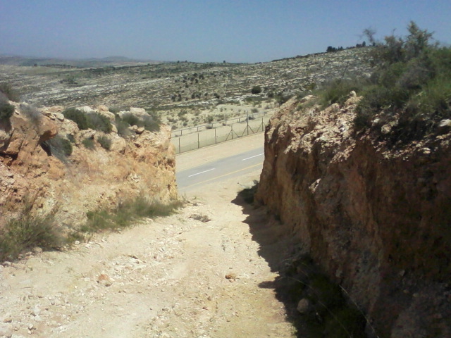קובץ:Photo100.jpg