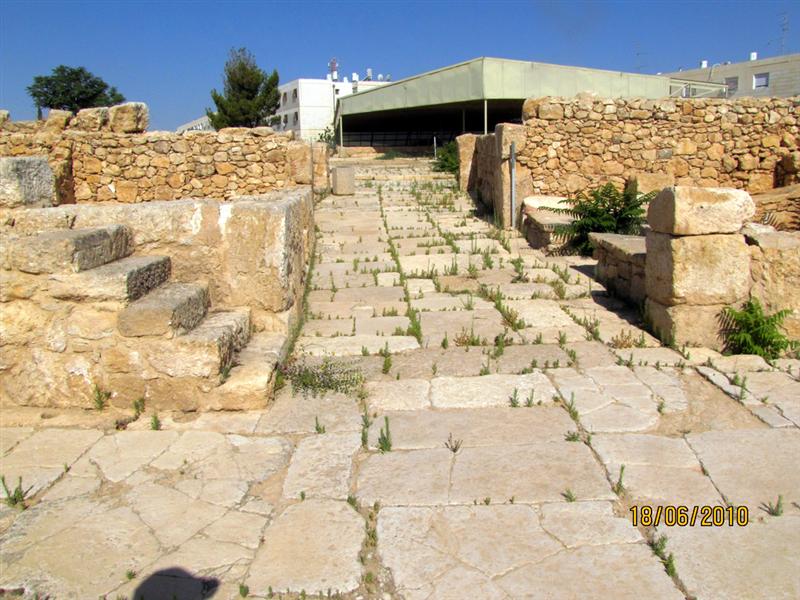 קובץ:Picture 023 (Medium).jpg