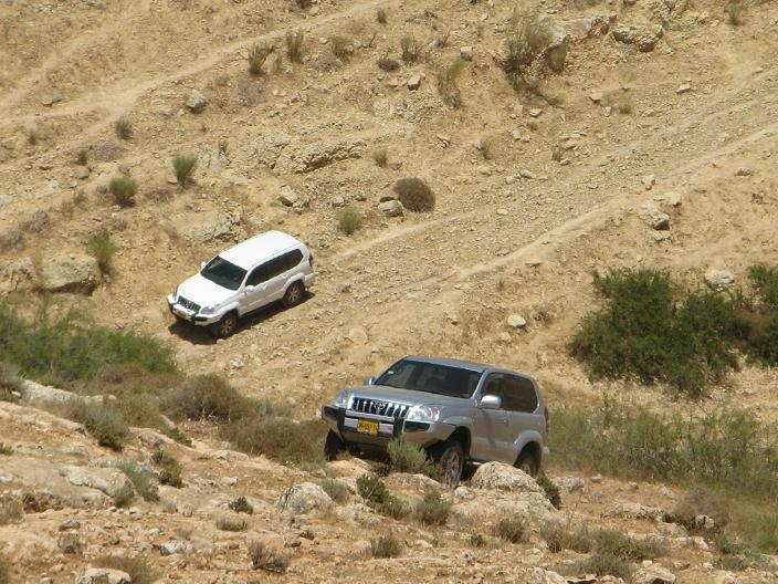 קובץ:Picture 151.jpg