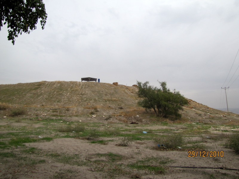 קובץ:Picture 372.jpg