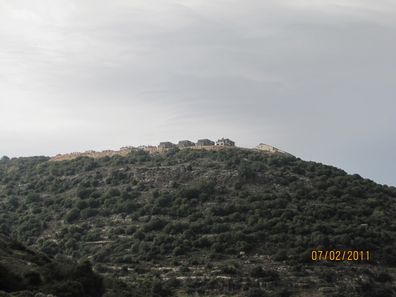 קובץ:Picture 533.jpg