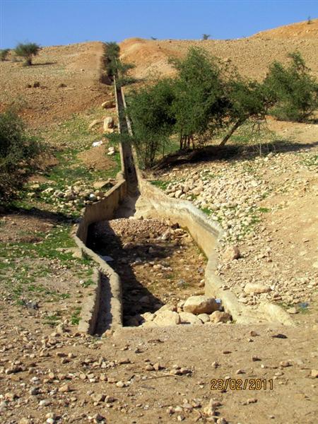 קובץ:Picture 585 (Medium).jpg