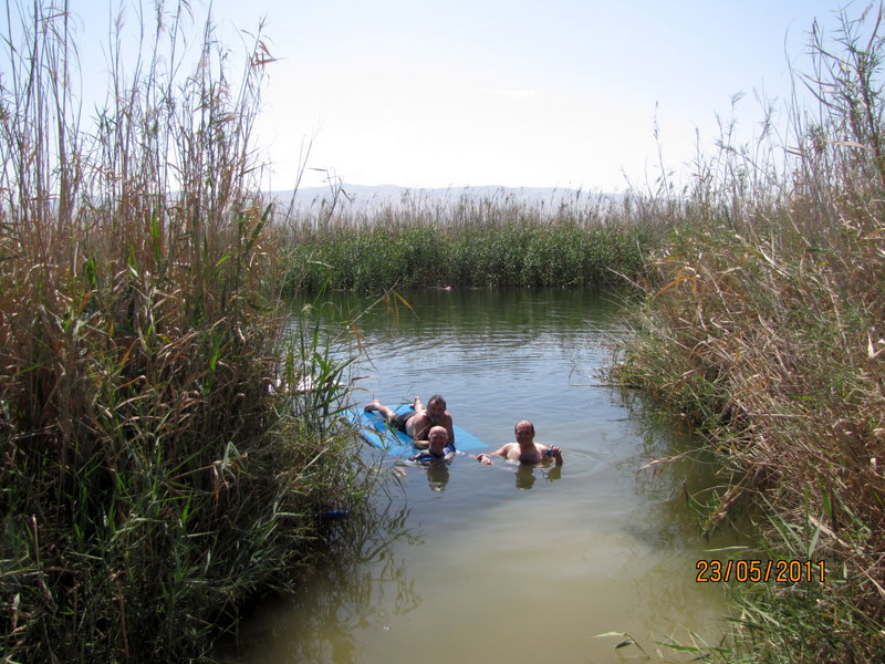 קובץ:Picture 780.jpg