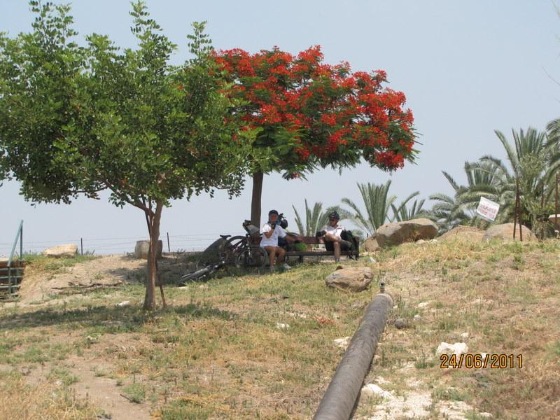 קובץ:Picture 827 (Medium).jpg
