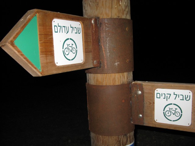 קובץ:Resized גבי 001.jpg