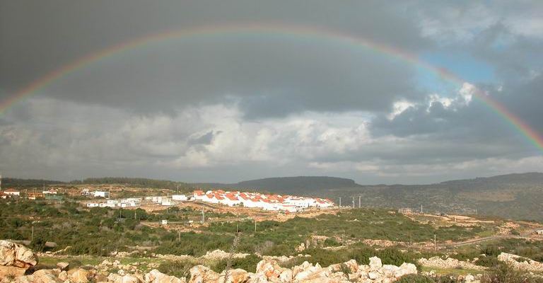 קובץ:TalMenashe.jpg