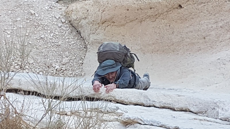 קובץ:Talol2.jpeg