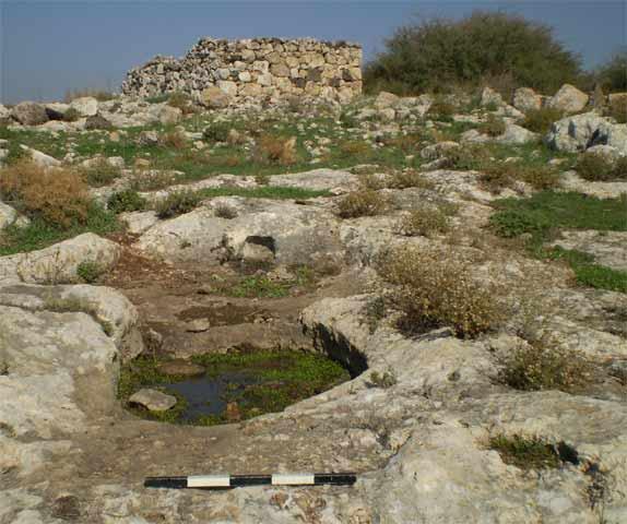 קובץ:WhatsApp Image 2023-02-24 at 09.24.48.jpeg