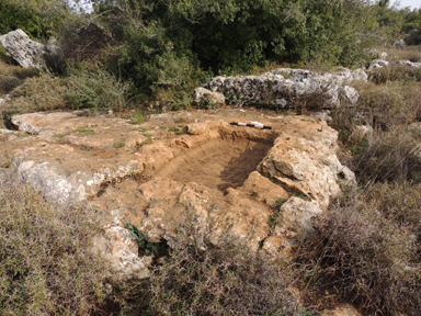 קובץ:Winepress 2.jpg