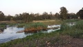 תמונה ממוזערת לגרסה מתאריך 15:56, 1 ביוני 2014