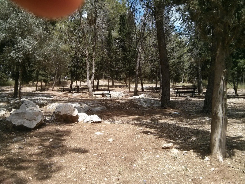 קובץ:2014.06.06-145859.024.android.jpg
