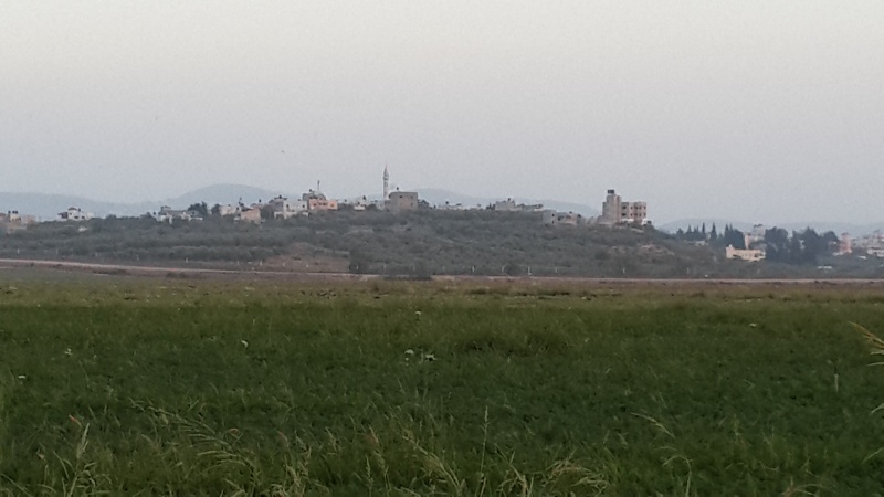קובץ:2014.07.05-204417.018.android.jpg
