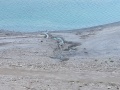 תמונה ממוזערת לגרסה מתאריך 17:17, 27 ביולי 2014