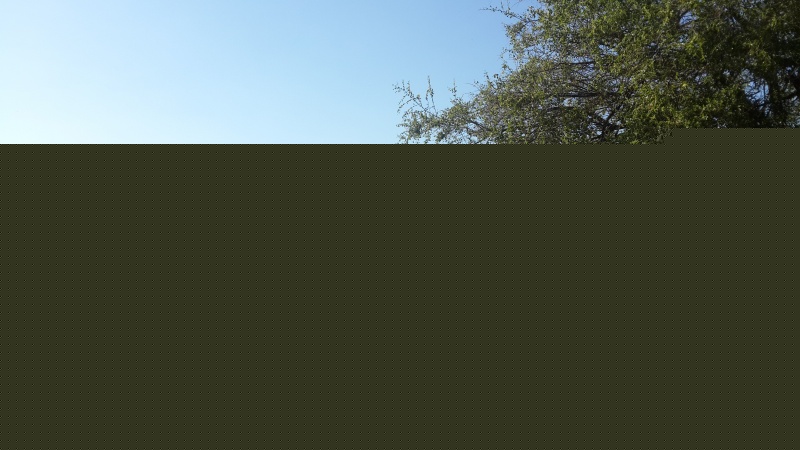 קובץ:2014.10.21-163633.773.android.jpg