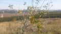 תמונה ממוזערת לגרסה מתאריך 08:39, 30 בינואר 2016
