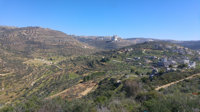 קובץ:2016.02.12-115604.203.android.jpg