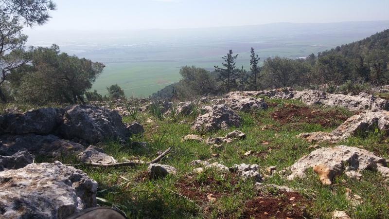 קובץ:2016.02.26-132029.656.android.jpg