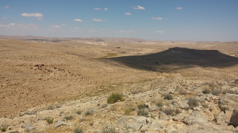 קובץ:2016.05.07-144451.585.android.jpg