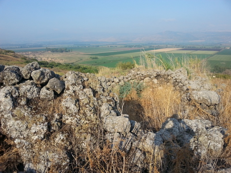 קובץ:2016.07.04-083312.351.android.jpg