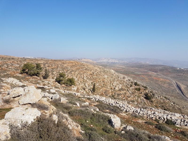 קובץ:2017.02.10-102025.064.android.jpg