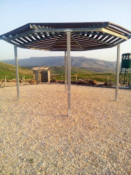 קובץ:2017.02.24-175831.182.android.jpg