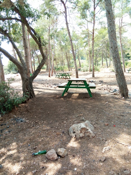 קובץ:2017.08.17-154457.237.android.jpg