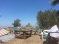 תמונה ממוזערת לגרסה מתאריך 10:10, 29 באוגוסט 2017