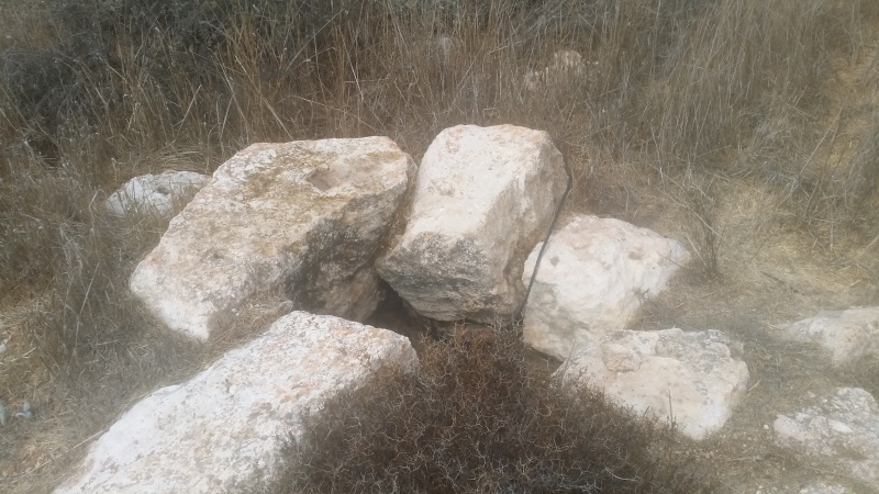 קובץ:2017.10.09-153621.247.android.jpg