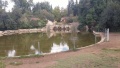 תמונה ממוזערת לגרסה מתאריך 10:35, 8 בדצמבר 2017