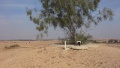 תמונה ממוזערת לגרסה מתאריך 17:50, 25 בדצמבר 2024
