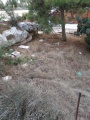 תמונה ממוזערת לגרסה מתאריך 05:16, 28 בנובמבר 2017