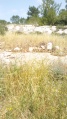 תמונה ממוזערת לגרסה מתאריך 05:48, 27 במרץ 2019