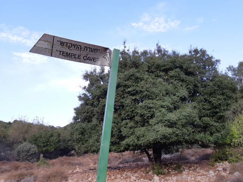קובץ:2018.09.29-181517.882.android.jpg