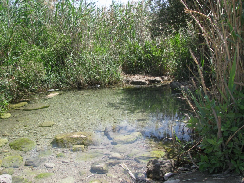 קובץ:793.JPG