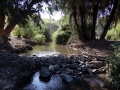 תמונה ממוזערת לגרסה מתאריך 14:03, 23 בספטמבר 2012