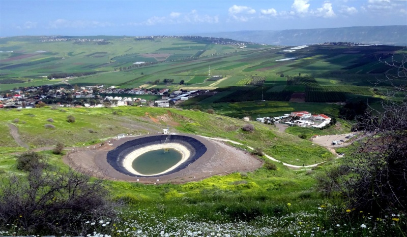 קובץ:DSC08187 (Large).JPG