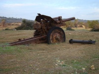DSC09203.JPG