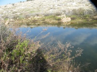 DSCF4001.JPG